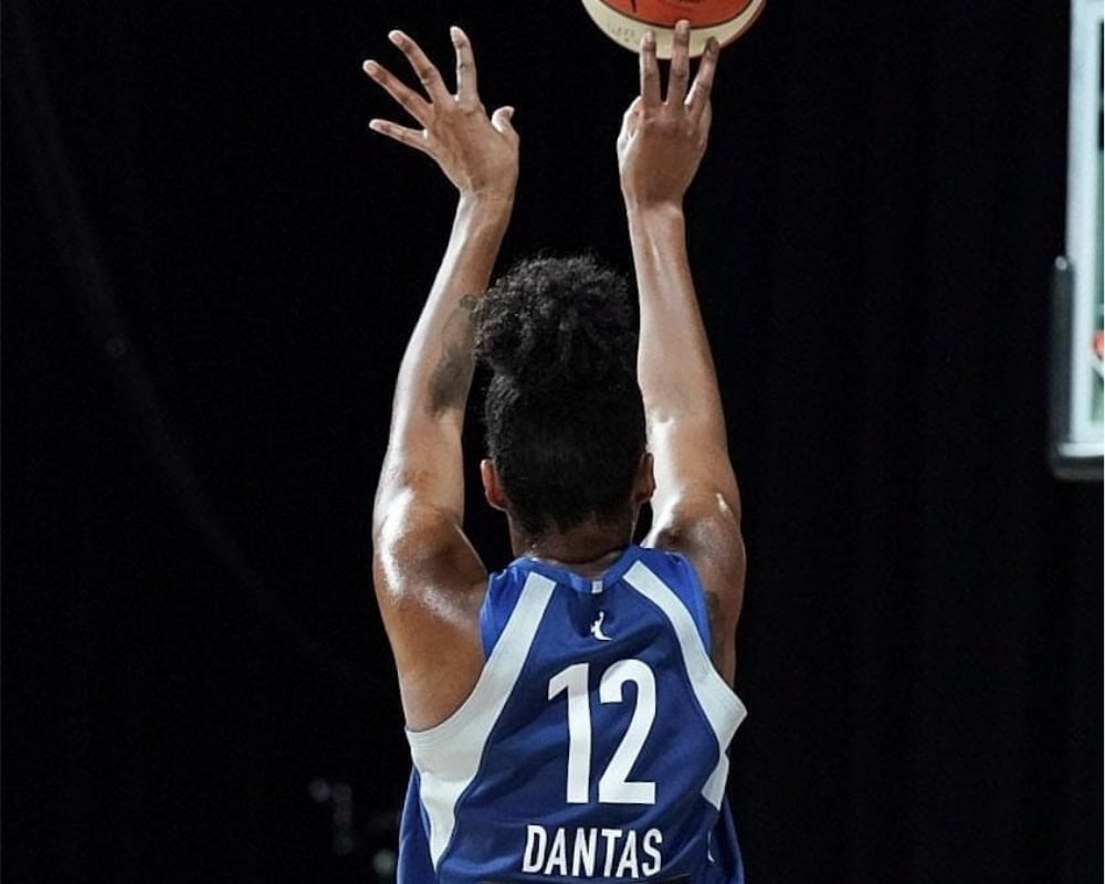 Damiris - WNBA - Minnesota Lynx