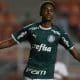 São Paulo e Palmeiras na final da Copa do Brasil Sub-