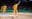 Marcelinho Huertas, na Liga ACB
