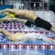 Brasileiro de natação paralímpica