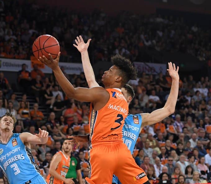 Machado - Taipans