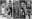 Dia Internacional da Mulher - Mulher Olímpico