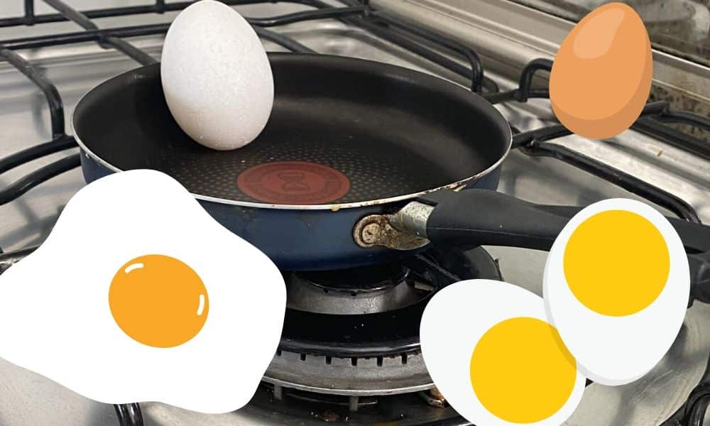 A importância do consumo do ovo para os atletas de alto rendimento