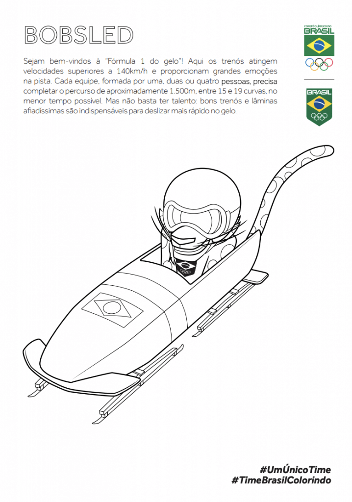 O Comitê Olímpico Brasileiro (COB) lançou nesse sábado, primeiro dia do inverno, o livro de colorir do Ginga praticando os esportes de gelo e neve