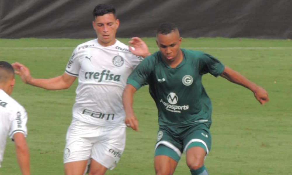 Palmeiras Brasileiro Sub-20 Sport