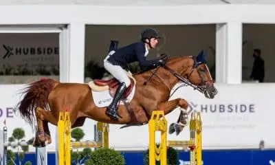 Marlon Zanotelli Icarus