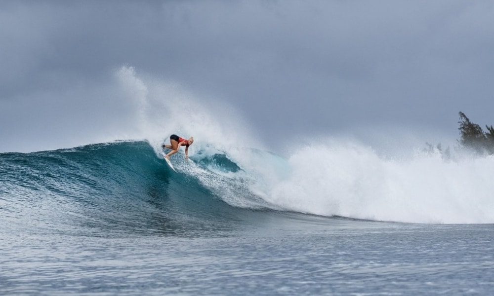 Circuito mundial de surfe - Circuito mundial feminino de surfe - Mundial feminino de surfe tubarão