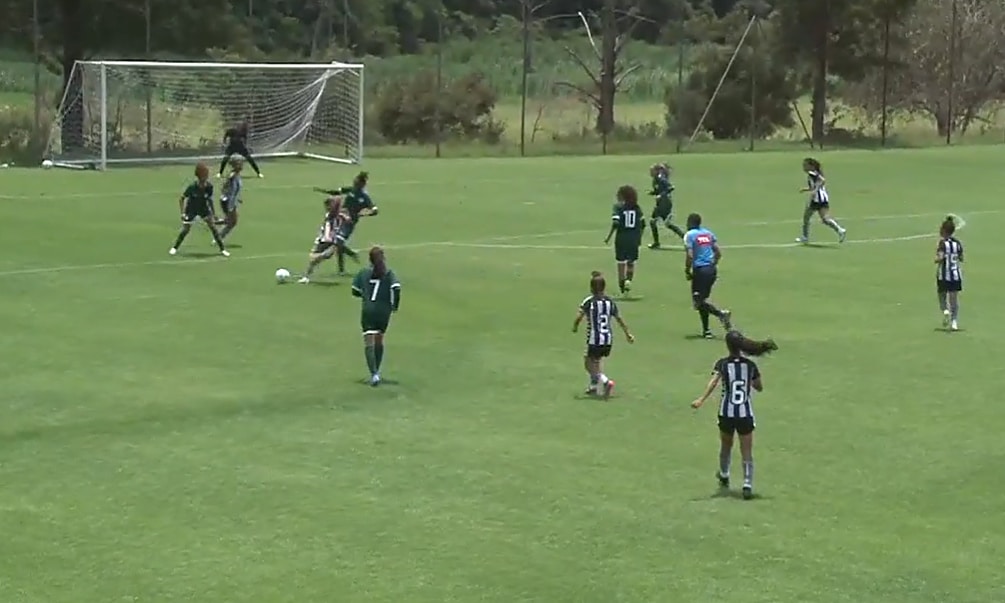 Botafogo Goiás Campeonato Brasileiro feminino Sub-18 futebol feminino