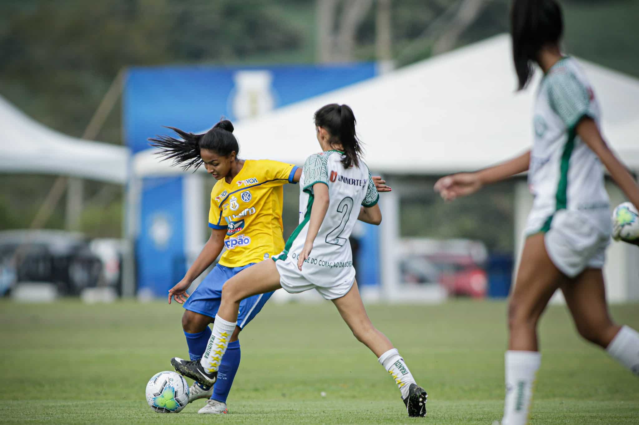 avaí kindermann iranduba classifica palmeiras