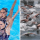 Fina cancela também os pré-olímpicos de nado artístico e maratona aquática