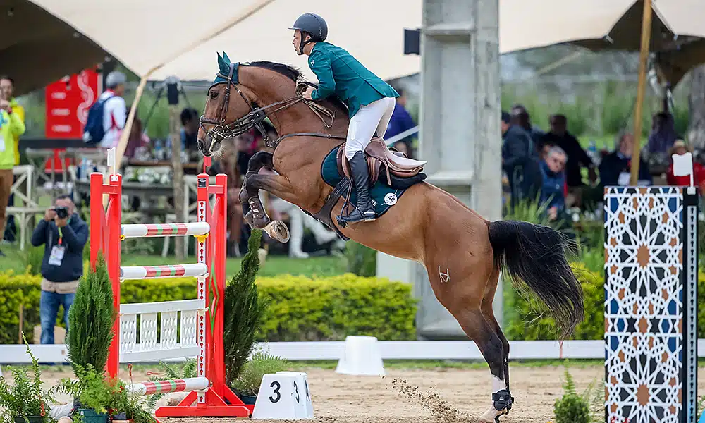 Stephan Barcha hipismo saltos hipismo brasil jogos sul-americanos equipes medalha de ouro