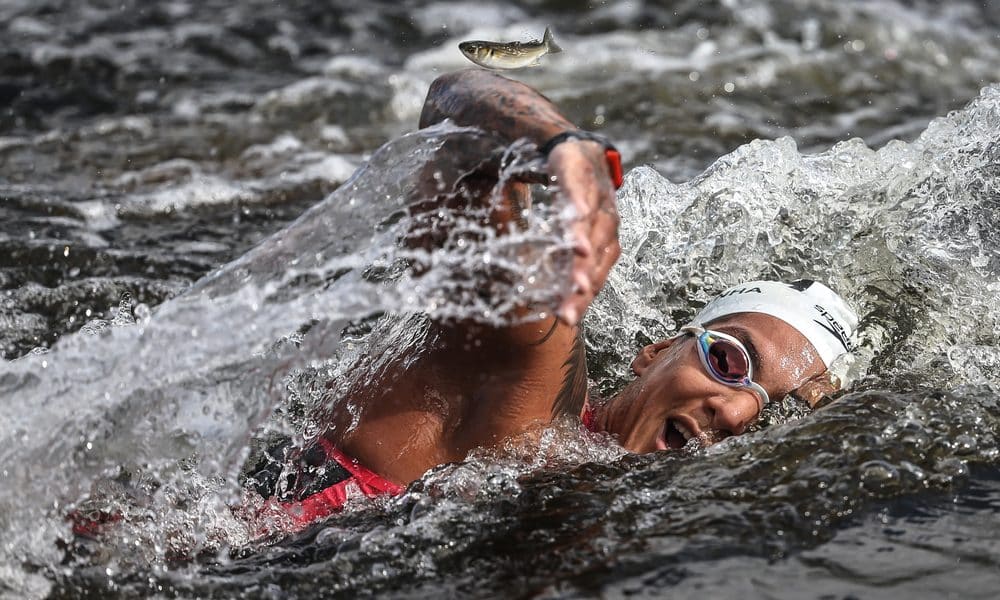 Ana Marcela Cunha nadando em etapa da Copa do Mundo de natação em águas abertas - Paris 2024 VIviane Jungblut