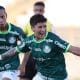 Partida entre Palmeiras e Grêmio, válido pelo Brasileiro Feminino (Fabio Menotti/SE Palmeiras)