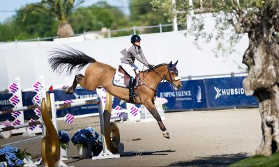 Na imagem, Mariana Frauches saltando obstáculo com seu cavalo.