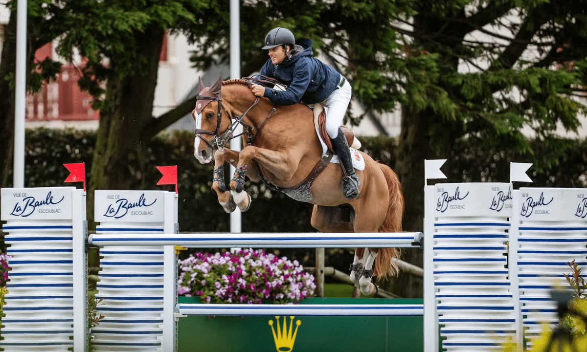 Pedro Veniss em ação no hipismo saltos