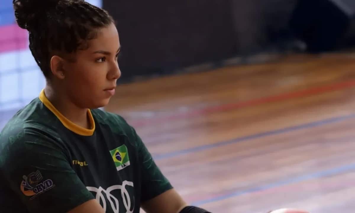Brasil Vôlei Sentado