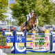 Stephan Barcha - Hipismo Saltos (2)