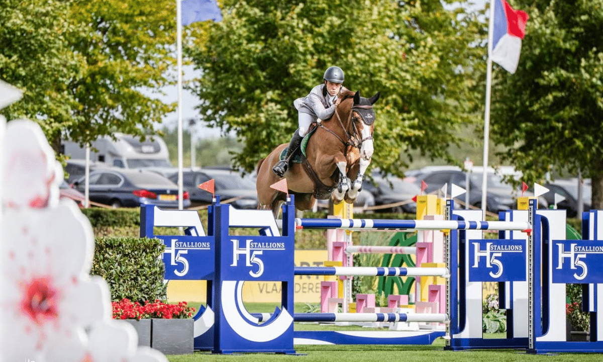 Stephan Barcha - Hipismo Saltos (2)