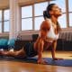 Treino de core em circuito- abdômen, lombar e estabilidade