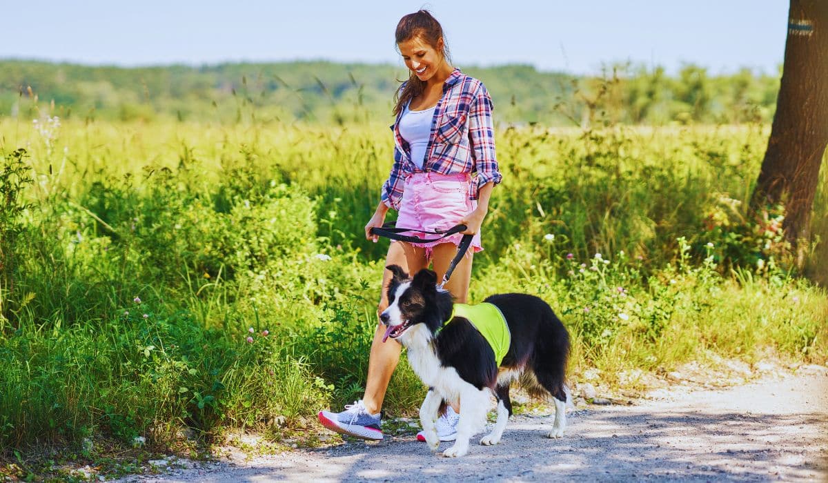 Caminhar com pets- por que é um exercício tão eficiente