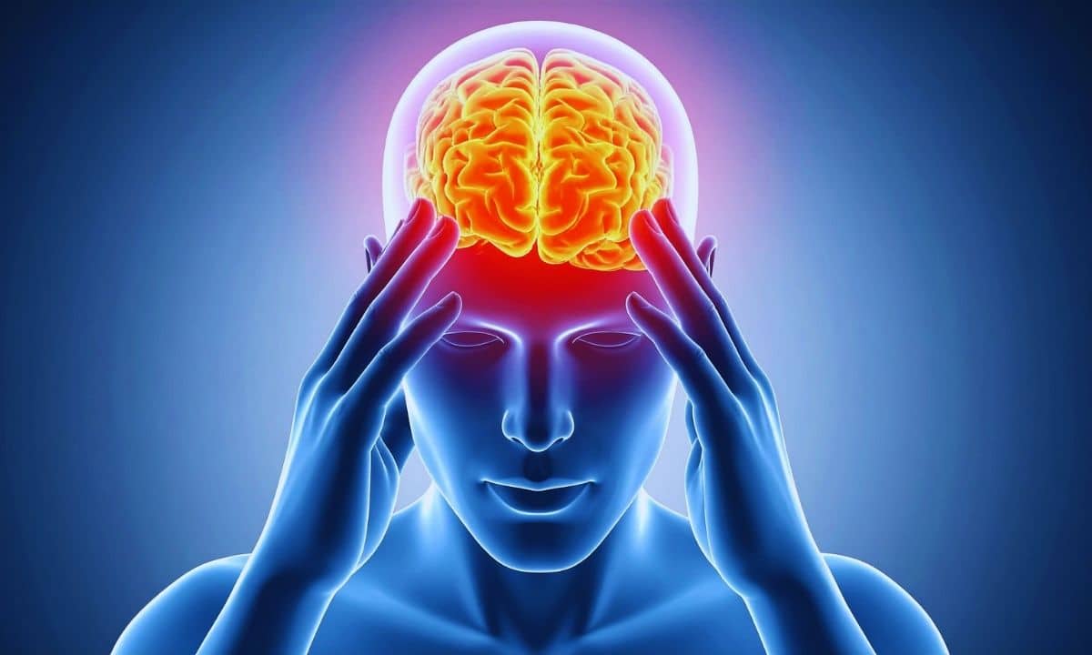 Neurociência e foco- como o cérebro aprende a ser disciplinado