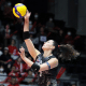 Liga Japonesa de Vôlei: Rosamaria