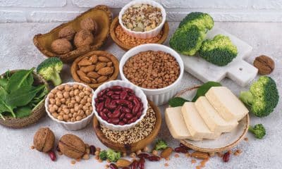 Mitos e verdades sobre proteína vegetal e atividade física