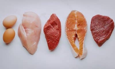 Proteína na rotina ativa- quanto e quando consumir