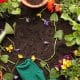 Jardinagem- como cultivar plantas reduz estresse e ansiedade