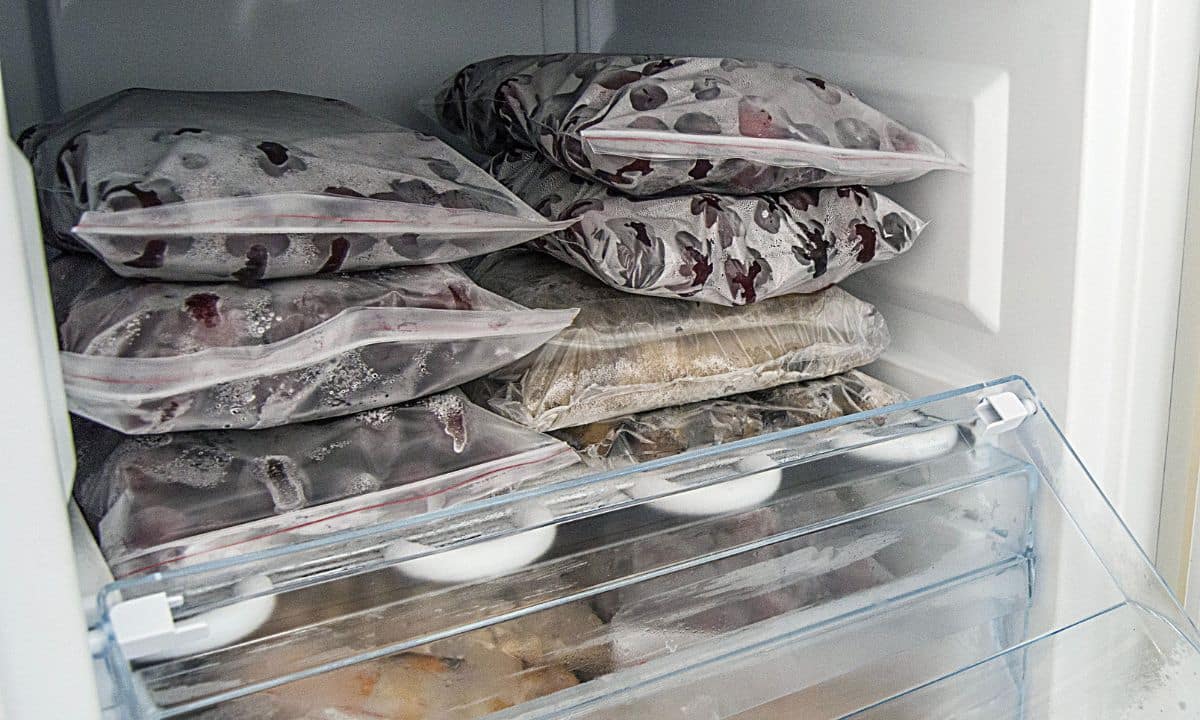 CONGELAR ALIMENTOS