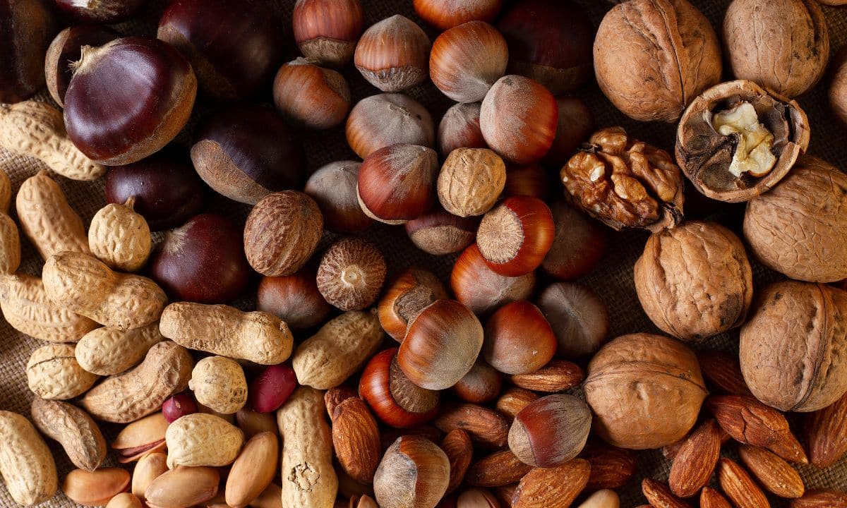Castanhas, nozes, amêndoas, pistache e amendoim