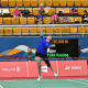 parabadminton, brasil