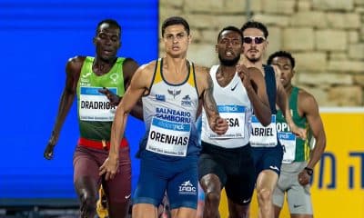 Orenhas em corrida no Brasil