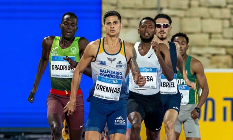 Orenhas em corrida no Brasil