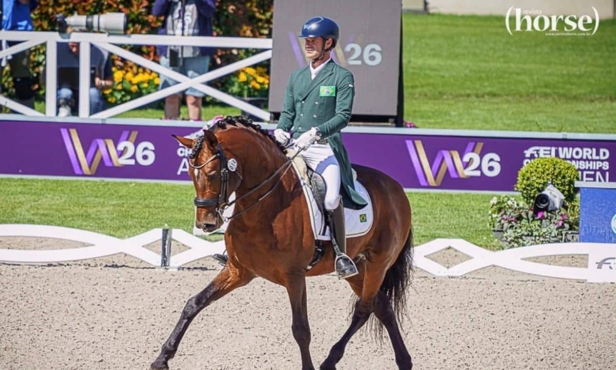 Brasil estreia no Campeonato Mundial de adestramento na Alemanha. Nuno e Manuel já entraram em ação nesta terça-feira (11)
