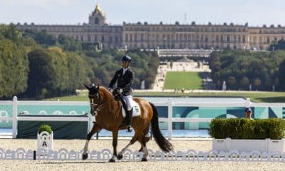 Brasil define equipe com dois medalhistas olímpicos para o Mundial de Hipismo paralímpico, na Alemanha