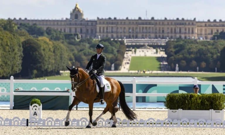 Brasil define equipe com dois medalhistas olímpicos para o Mundial de Hipismo paralímpico, na Alemanha