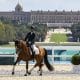 Brasil define equipe com dois medalhistas olímpicos para o Mundial de Hipismo paralímpico, na Alemanha