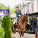 Sérgio Oliva termina em 8º no Grau I e consegue o melhor resultado brasileiro até então no Mundial de paradestramento em Aachen.