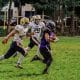 Futebol americano, Flag football, Esporte no Brasil, CBFA, Los Angeles 2028, Esportes, Bem-Estar Todo Dia