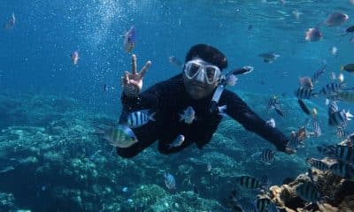 Mergulho, Turismo esportivo, Turismo de natureza, Viagens, Fernando de Noronha, Raja Ampat, Grande Barreira de Corais, Mar Vermelho, Biodiversidade