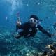 Mergulho, Turismo esportivo, Turismo de natureza, Viagens, Fernando de Noronha, Raja Ampat, Grande Barreira de Corais, Mar Vermelho, Biodiversidade
