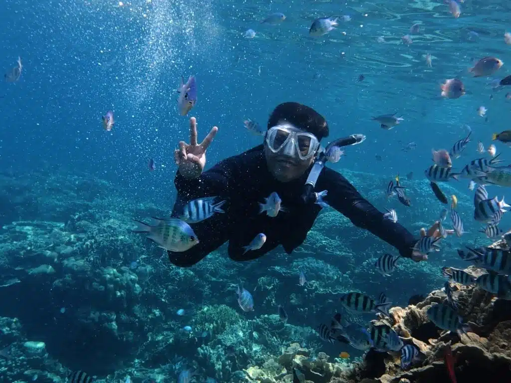 Mergulho, Turismo esportivo, Turismo de natureza, Viagens, Fernando de Noronha, Raja Ampat, Grande Barreira de Corais, Mar Vermelho, Biodiversidade