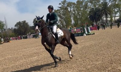 Brasil é campeão por equipes no hipismo saltos nos jogos sul-americanos