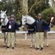 Equipe brasileira de Hipismo Adestramento nos Jogos Sul-Americanos de Santa Fé 2026
