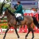 José Reynoso, hipismo saltos, nos Jogos Sul-Americanos
